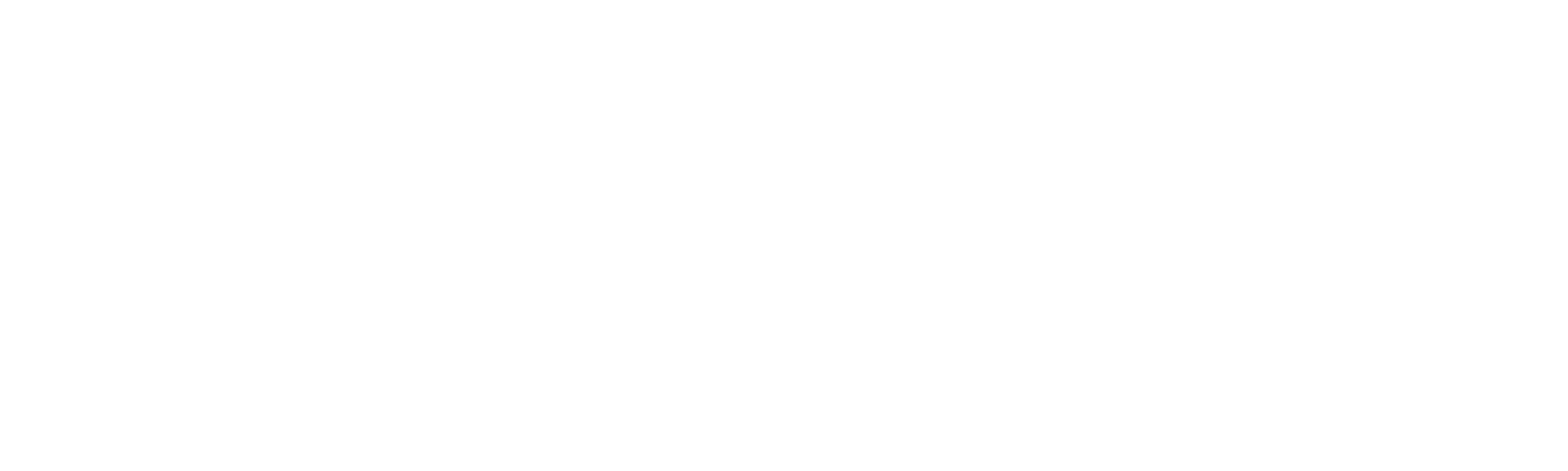 WiseTraveler Production